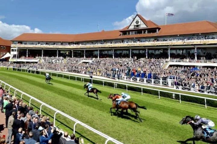 🏇 체스터 레이스코스